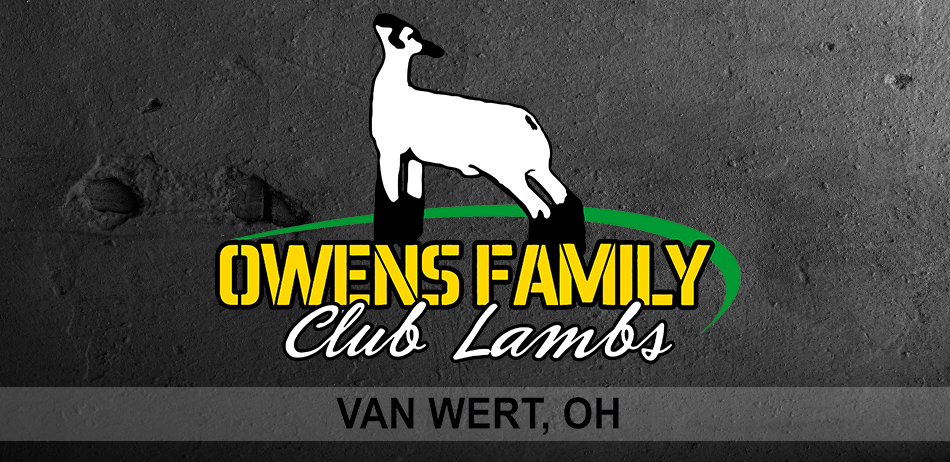 Owens Family Club Lambs