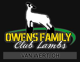 Owens Family Club Lambs