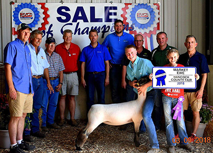Owens Family Club Lambs Winners