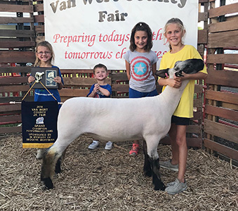 Owens Family Club Lambs Winners