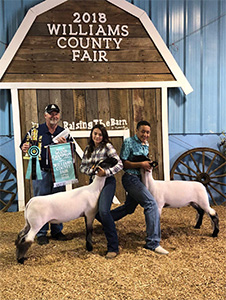 Owens Family Club Lambs Winners