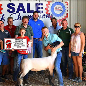 Owens Family Club Lambs Winners