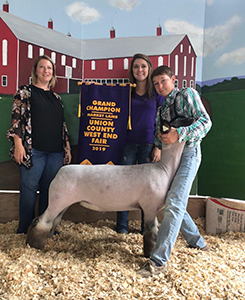 Owens Family Club Lambs Winners